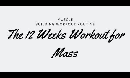 Muscle Building Workout Routine – The 12 Weeks Workout for Mass