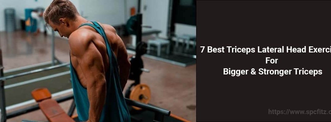 7 Best Triceps Lateral Head Exercises – For Bigger & Stronger Triceps