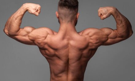 6 Weeks Beginners Workout Routine
