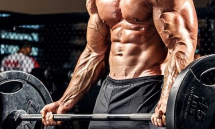 Bodybuilding Workouts for Size & Strength: A Quick Guide