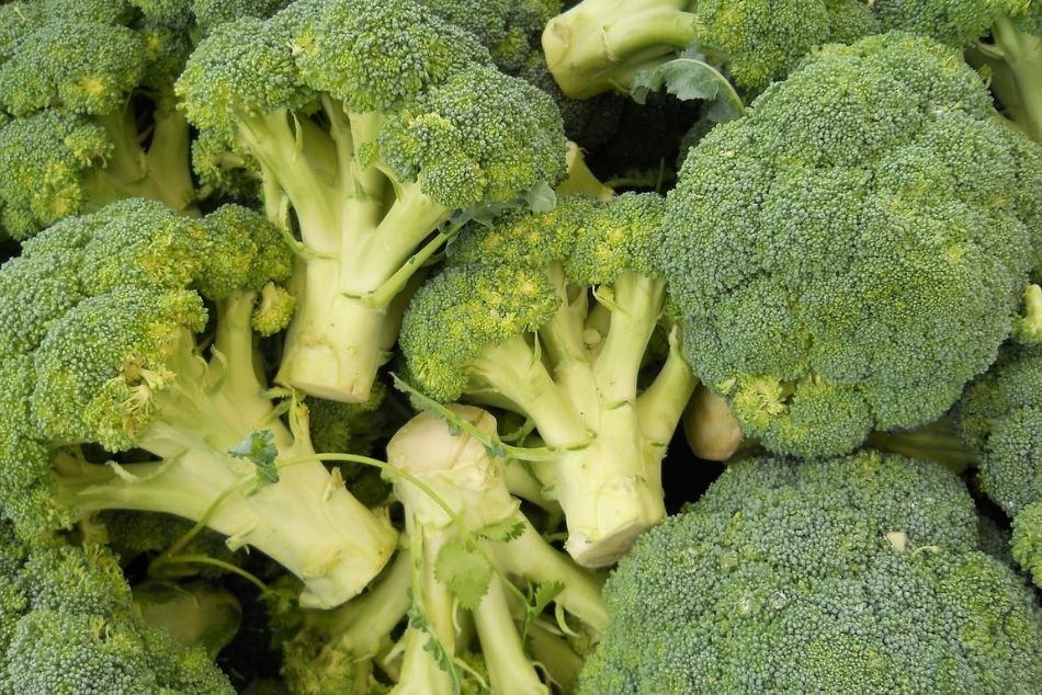 Why Do Bodybuilders Eat Broccoli More Often?