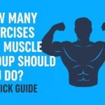 how many exercises per muscle group