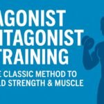 Agonist Antagonist Training